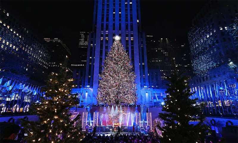 Ý nghĩa biểu tượng sâu sắc của cây thông Noel